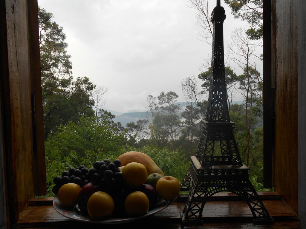 La Petite France Ξενοδοχείο Nova Petropolis Εξωτερικό φωτογραφία