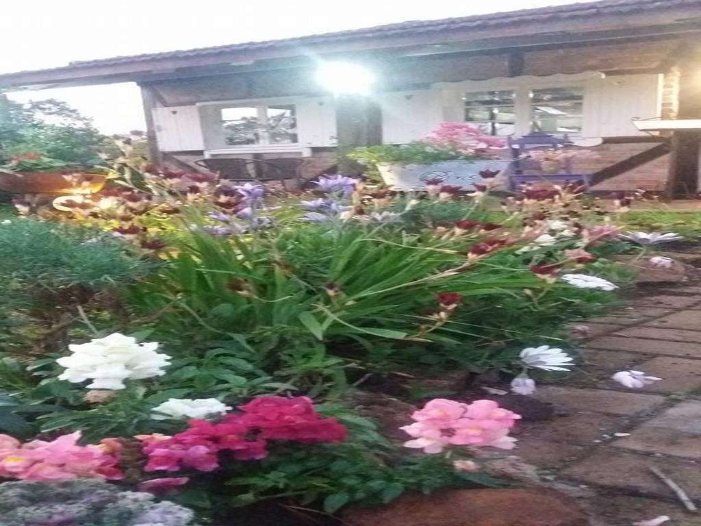La Petite France Ξενοδοχείο Nova Petropolis Εξωτερικό φωτογραφία
